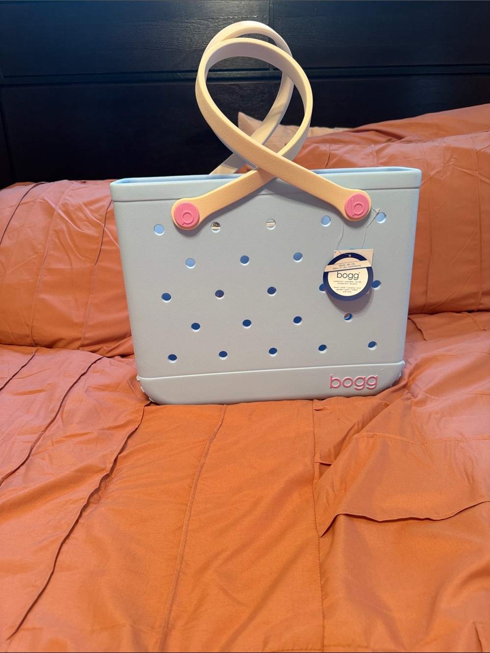 BOGG BAG Light Blue Tote with Cream Handles and Pink Accents